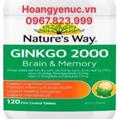 Hoạt huyết dưỡng não Nature’s Way Ginkgo Biloba 2000mg 120 viên